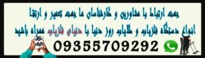 طلایاب حرفه ای و انواع آن