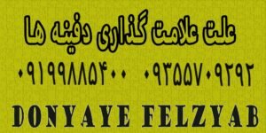 علت علامت گذاری دفینه ها