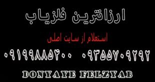 ارزانترین فلزیاب