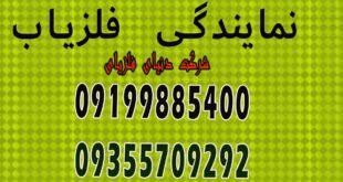 انواع فلزیاب
