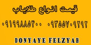 قیمت دستگاه طلایاب