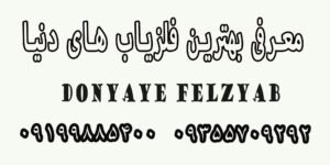 معرفی بهترین فلزیاب های دنیا