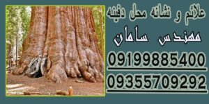 علائم و نشانه‌ محل دفینه
